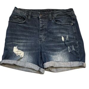 Hydraulic “Wedgie” High Rise Shorts Size 8